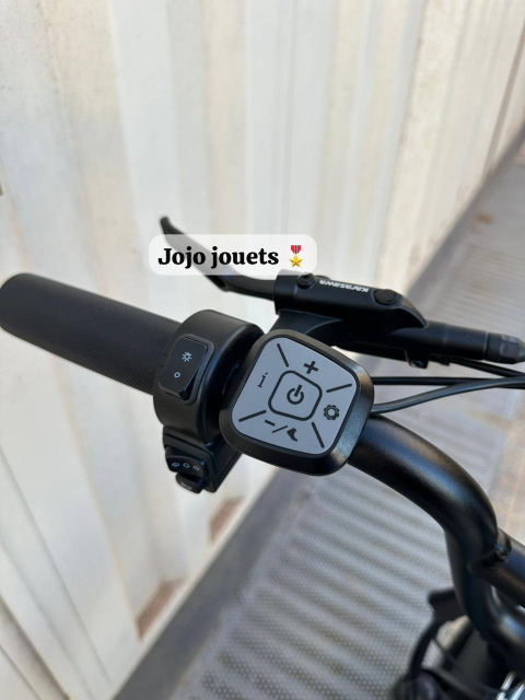 Vue 17 de Vélo Électrique Likebike RAIL 5