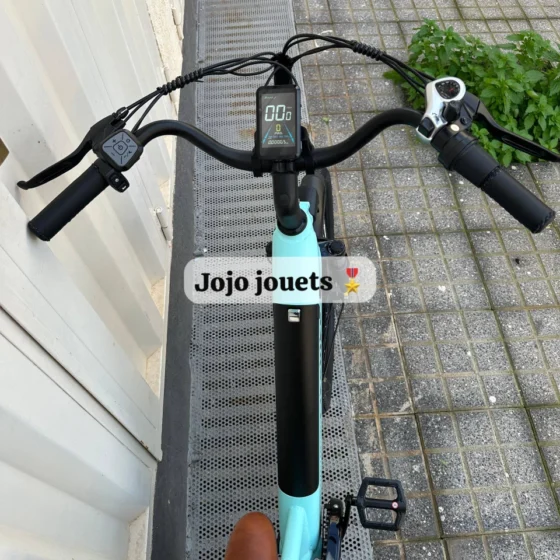 Vue 11 de Vélo Madame Électrique Likebike MY2 1500W Max