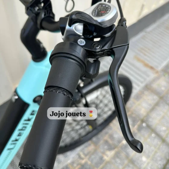 Vue 15 de Vélo Madame Électrique Likebike MY2 1500W Max