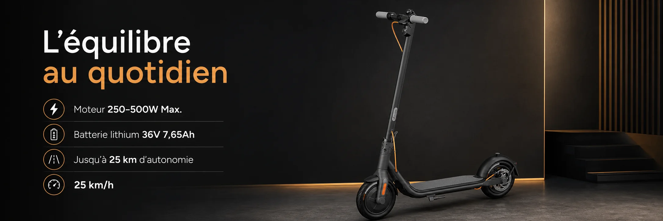 Trottinette Électrique Ninebot F25E - SEGWAY — puissance et autonomie
