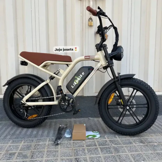 Vue 2 de Vélo Électrique Harley LIKEBIKE U15