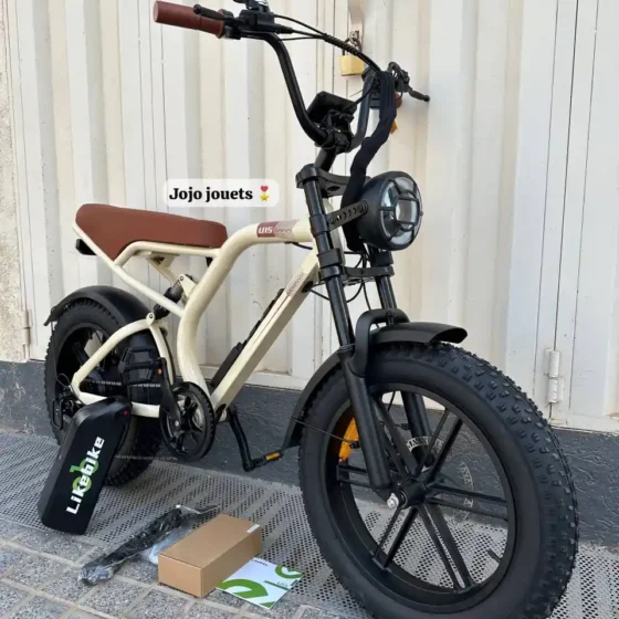 Vue 4 de Vélo Électrique Harley LIKEBIKE U15