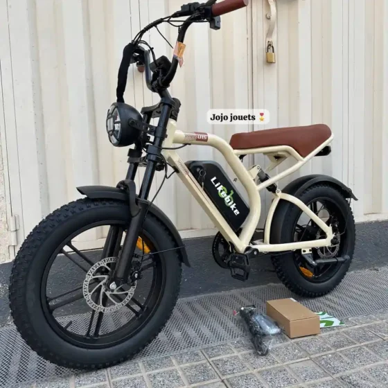 Vue 5 de Vélo Électrique Harley LIKEBIKE U15