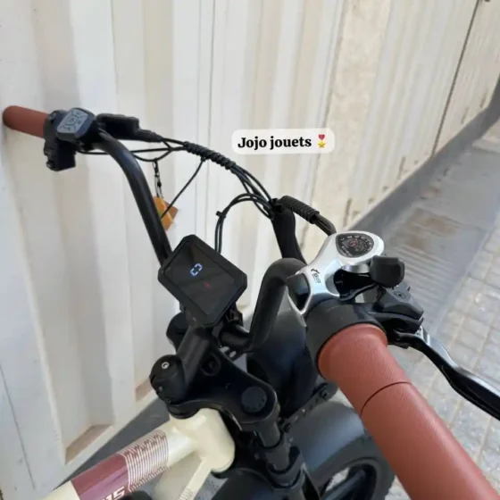 Vue 7 de Vélo Électrique Harley LIKEBIKE U15