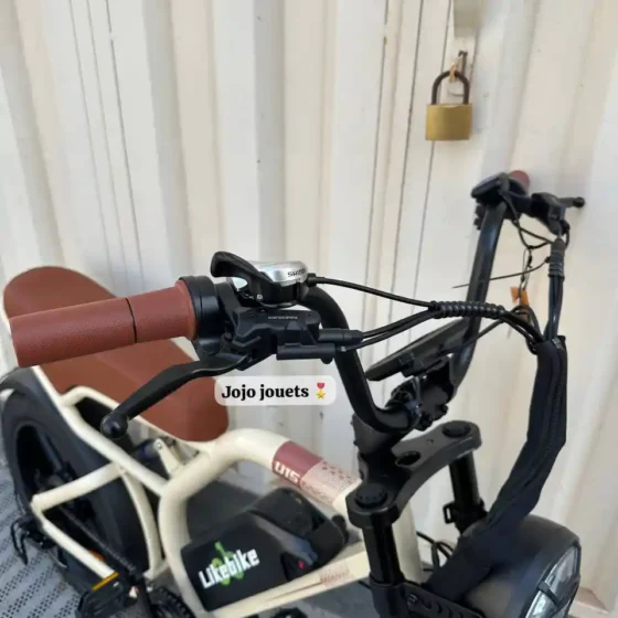 Vue 9 de Vélo Électrique Harley LIKEBIKE U15