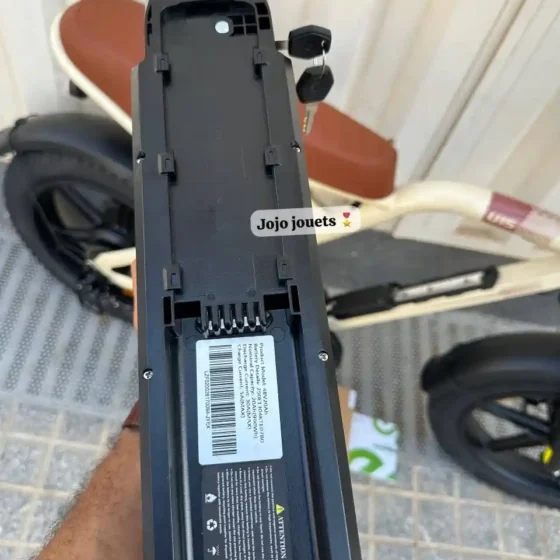 Vue 12 de Vélo Électrique Harley LIKEBIKE U15