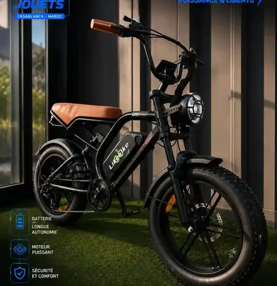 Vue 13 de Vélo Électrique Harley LIKEBIKE U15