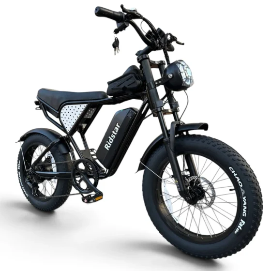 Vélo Électrique Harley RidStar Q20 Mini