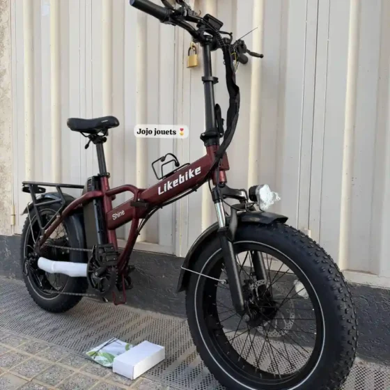 Vue 5 de Vélo Électrique Likebike SHINE PRO Ebike 48V