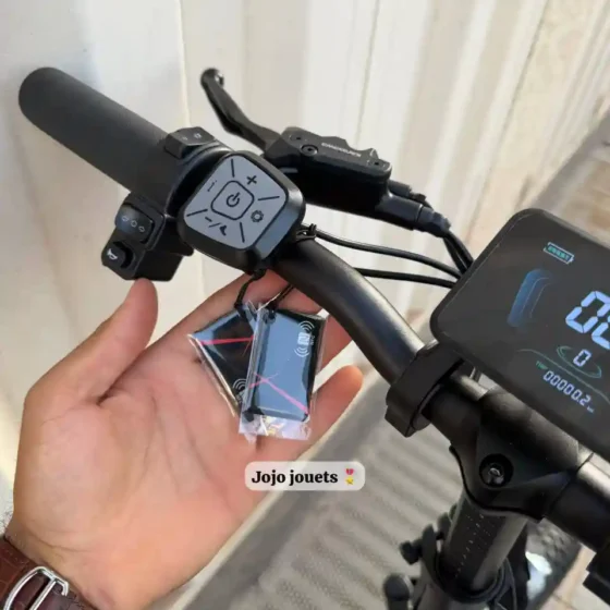 Vue 17 de Vélo Électrique Likebike SHINE PRO Ebike 48V