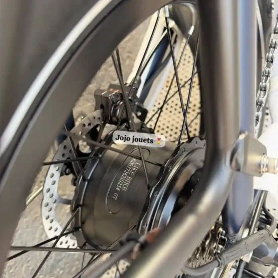 Vue 18 de Vélo Électrique Likebike SHINE PRO Ebike 48V