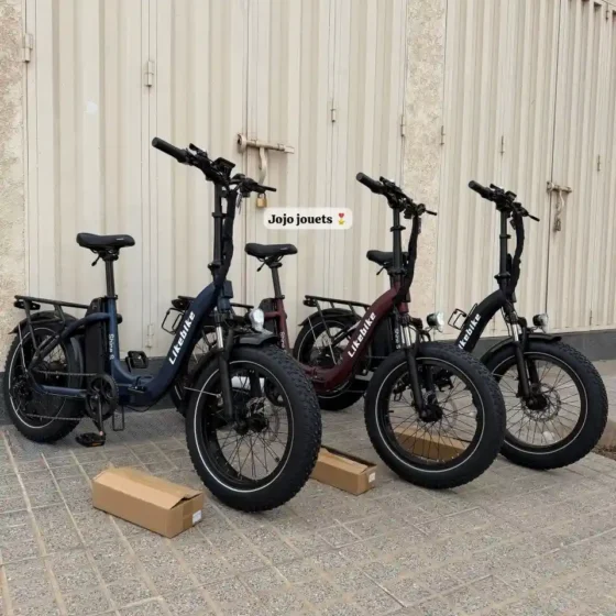 Vue 2 de Vélo Électrique Likebike SHINE S PRO Ebike 48V