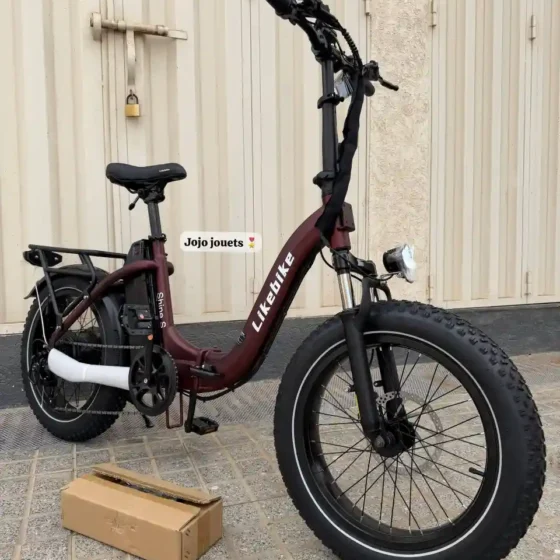 Vue 6 de Vélo Électrique Likebike SHINE S PRO Ebike 48V