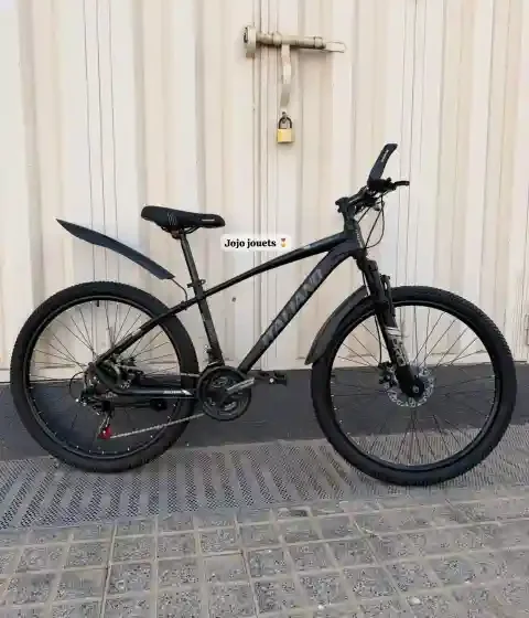 Vue 9 de Vélo VTT ALUMINIUM ITALIANO 26 Pouces