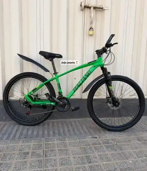 Vue 12 de Vélo VTT ALUMINIUM ITALIANO 26 Pouces