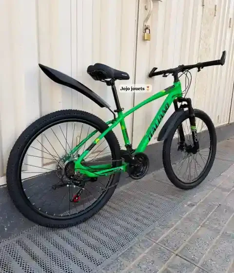 Vue 13 de Vélo VTT ALUMINIUM ITALIANO 26 Pouces