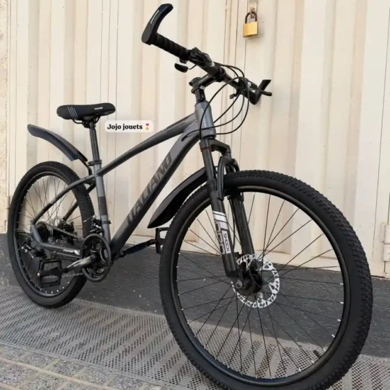 Vue 2 de Vélo VTT ALUMINIUM ITALIANO 26 Pouces