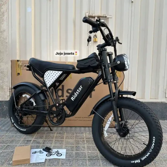 Vue 2 de Vélo Électrique Harley RidStar Q20 Mini
