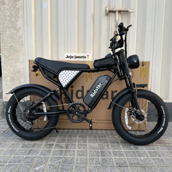 Vue 3 de Vélo Électrique Harley RidStar Q20 Mini