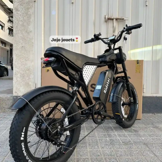 Vue 4 de Vélo Électrique Harley RidStar Q20 Mini
