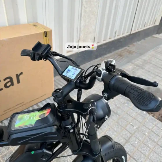 Vue 6 de Vélo Électrique Harley RidStar Q20 Mini