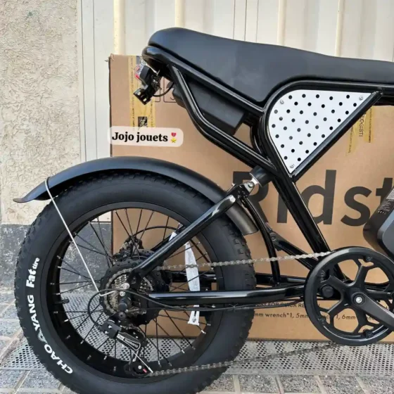 Vue 7 de Vélo Électrique Harley RidStar Q20 Mini