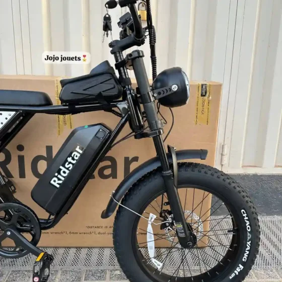 Vue 8 de Vélo Électrique Harley RidStar Q20 Mini