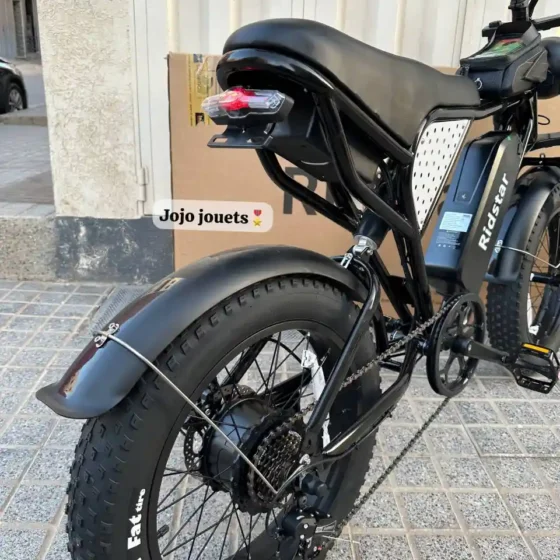 Vue 9 de Vélo Électrique Harley RidStar Q20 Mini