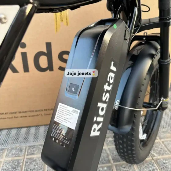 Vue 11 de Vélo Électrique Harley RidStar Q20 Mini